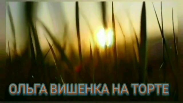 КАКОЕ ЖЕ ХАМЛО. ОЛЮНЯ И КОТЮНЯ. ОБЗОР.