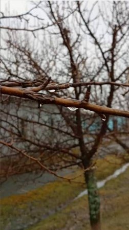 Непогода пришла и к нам #апрель #дождь #непогода #зауралье #дача