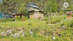 ЛЮБОВЬ и ГОЛУБИ //  Где снимали фильм.