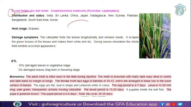 Rice pests (BORERS)- PART 3 - Entomology lec 29 • Go For Agriculture Education #icar #bhu #ibps