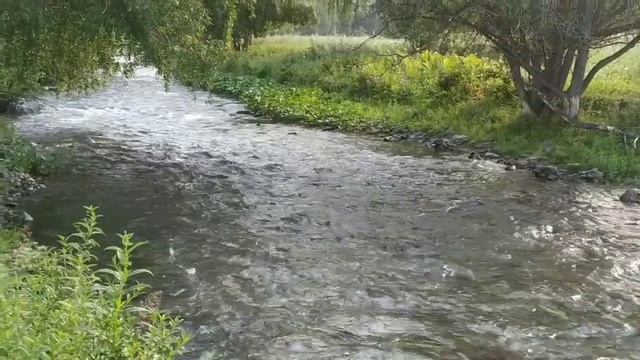 р. Эдиган. смотреть онлайн