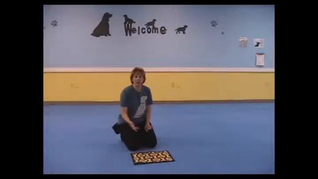 Teach your Dog to Wipe it's Paws