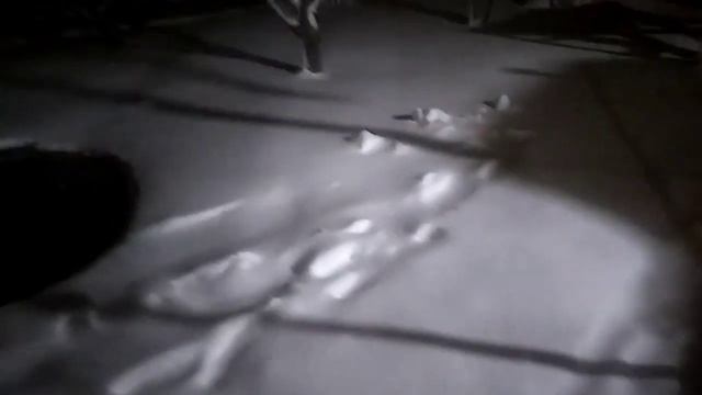 Ловим карася . Замёрзший пруд смотреть онлайн