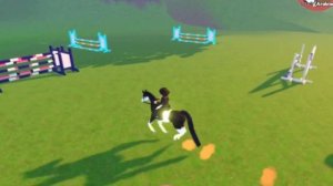 Новая лошадьʕ⁎̯͡⁎ʔ༄ остров диких лошадей#лошади #рекомендации #влог