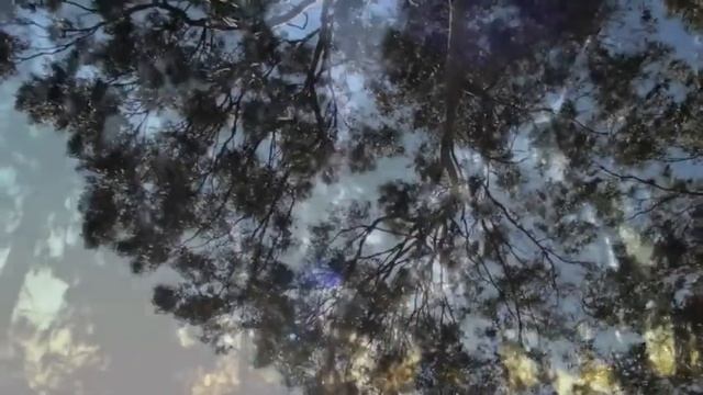 Яркон смотреть онлайн