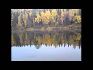 Эхо в лесу