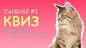 CatQUIZ #1 Гарри Поттер и философский камень | КВИЗ