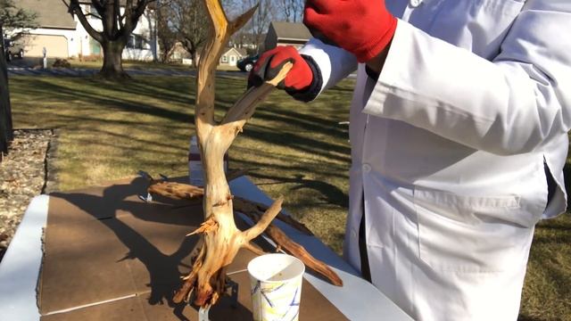 Deadwood Techniques - Applying Jin Seal / Lime Sulphur for Jin, Shari and Tanuki смотреть онлайн