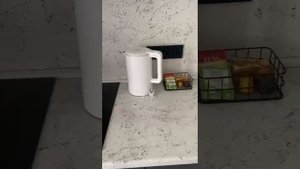 WhatsApp Video 2025-04-12 at 17.38.48 ЮЛЯ