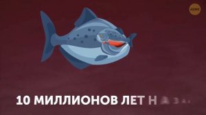 Как выжить при нападении пираний