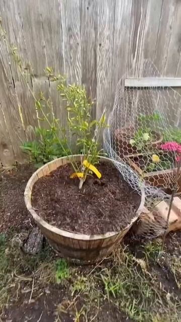 A 30 Second Garden Tour смотреть онлайн