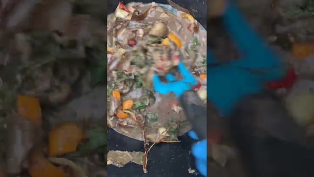 Что я делаю на дачке с барматухой Дзамболата.
