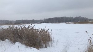 Пришла весна. Сбор камыша пошёл не по плану