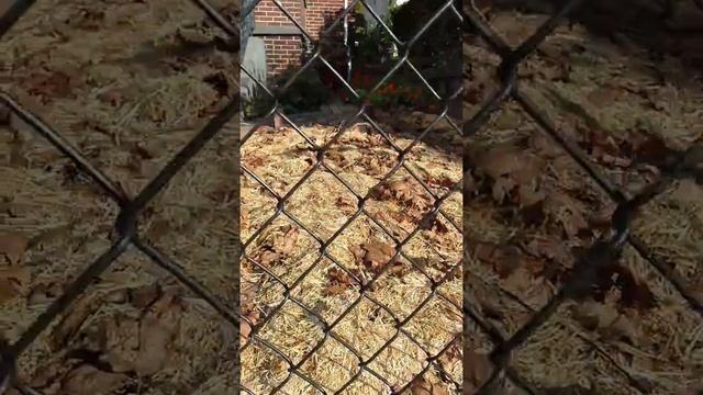 Harvesting in late September, part 2 смотреть онлайн