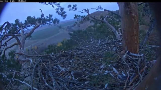 06.10.2021 5:25 Голос орленка(?) смотреть онлайн