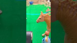 типы лошадей шляйх