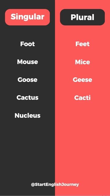Singular And Plural Forms In English