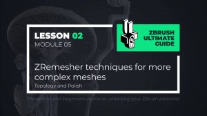5-2 ZRemesher for complex objects