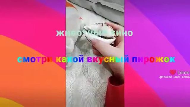 животные кино вырезанный Фрагмент 1231455636758910 смотреть онлайн