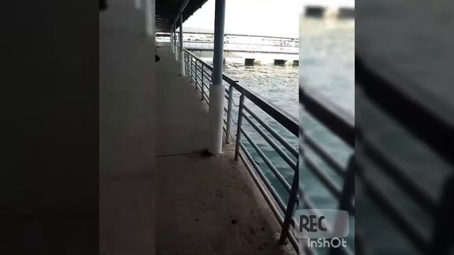 Perjalanan balik pergi bintulu dari labuan pergi Kota kinabalu(KKLA)PART 1 смотреть онлайн