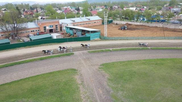 11.05.2024г. Абаканский Ипподром Приз МСХ и продовольствия РХ лошади 4-х лет Орл. рыс. породы 1600