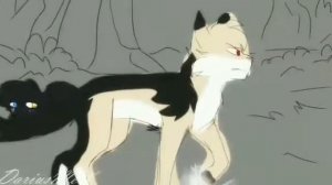 Коты воители Энки и Айла клип " Я тебя не отдам"