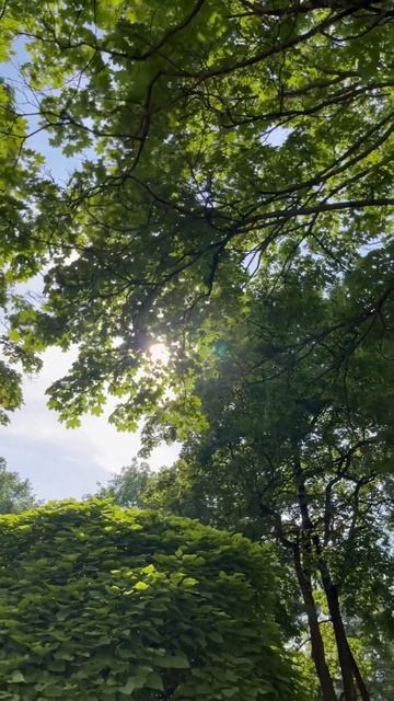 A walk through the castle garden in Náměšt' na Hané #antistress #relax #castle #walk смотреть онлайн