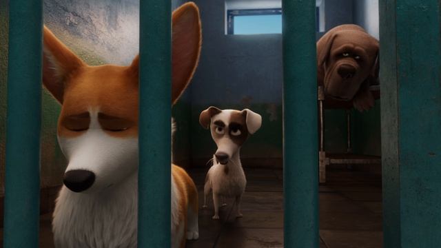 Королевский корги-The Queens Corgi