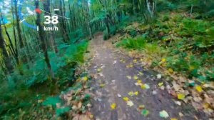 Горки байк-парк, октябрь 2019. Трасса столовая. | Downhill