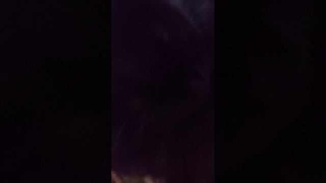 Домашни
е животные бабушки