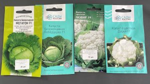 Сеем белокочанную и цветную капусту на рассаду.