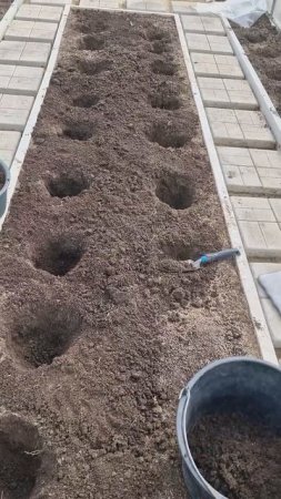 12 апреля 2025 г.