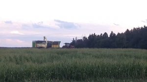 Maisernte im Hof der Häuser. (Вечерняя уборка кукурузы на силос во дворе домов)