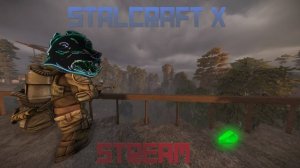 ВЫПОЛНЯЕМ ЗАДАНИЯ | СТРИМ ПО ВИДЕО ИГРЕ СТАЛКРАФТ | ЛУТАЕМ АРТЕФАКТЫ В STALCRAFT X | ВЫБРОС не бьет