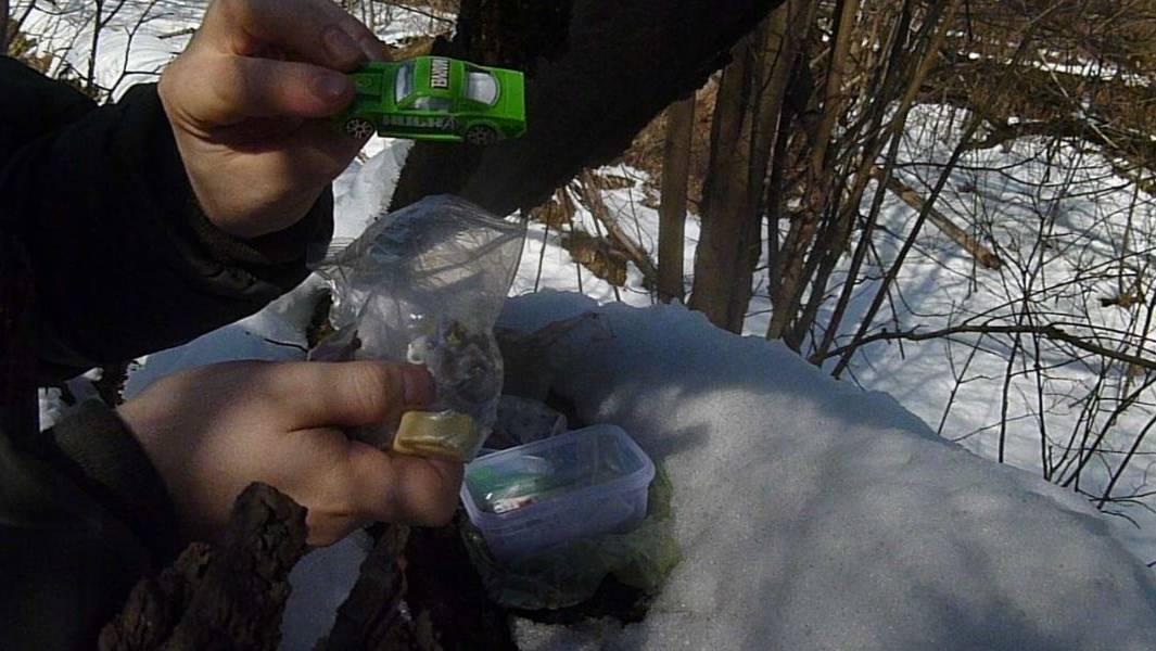Поход на тайник геокэшинга Эльфийская песнь 12.04.2025
