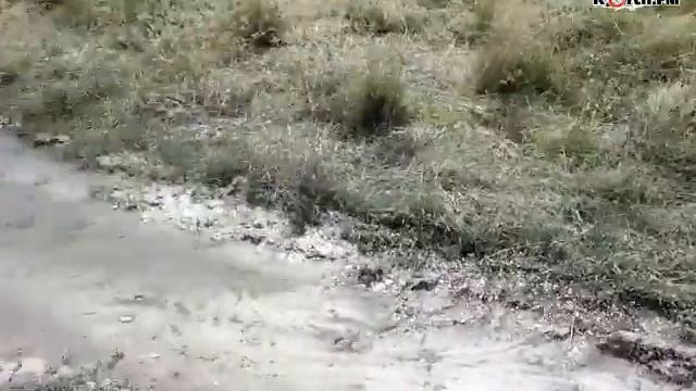 Утечка воды на улице Турчинского смотреть онлайн