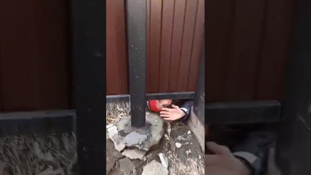Что таится под забором?
