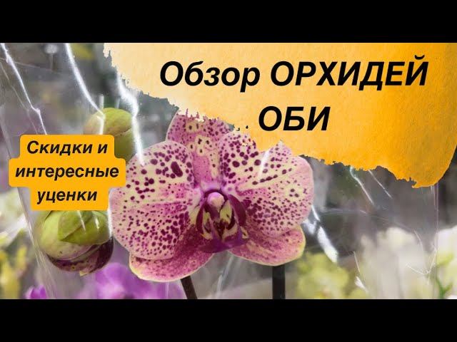 ОБЗОР ОРХИДЕЙ ОБИ. Скидки и интересные уценки #новыеорхидеи #орхидеиуход #обзорорхидей #покупкацвет