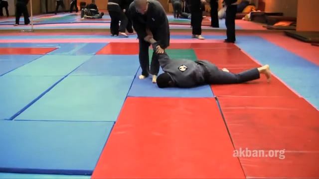 Ujaku, Gyokko ryu kata for the Akban wiki смотреть онлайн