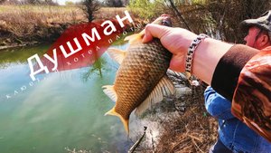 Апрель 2025. рыбалка в волгоградской области. Душман на поплавок есть..., плотвы нет. Часть вторая.