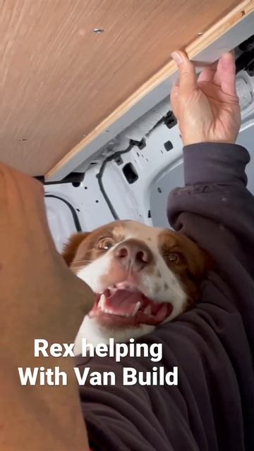 Rex helping with Van Conversion / Mercedes Metris Van Conversion смотреть онлайн