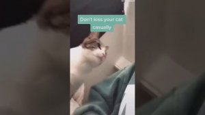 Смешные животные, вы только посмотрите! Приколы с котиками и песиками! 2