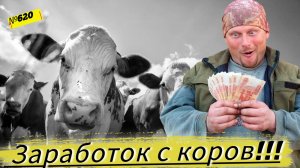 По какой цене мы сдаём молоко? Какую компенсацию мы получаем от государства за его производство?
