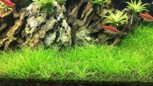 Ивагуми 180 литров