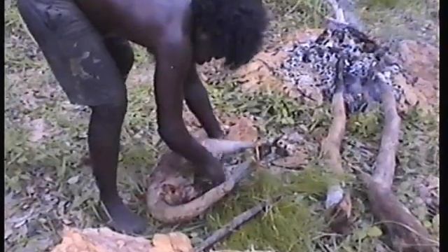 Video 15 part 2 Cooking Emu in a Pit Oven смотреть онлайн