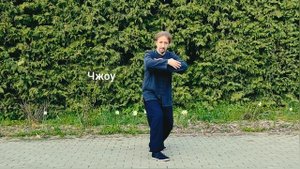 Тайцзицюань - Виктор Шигорин -13-я форма