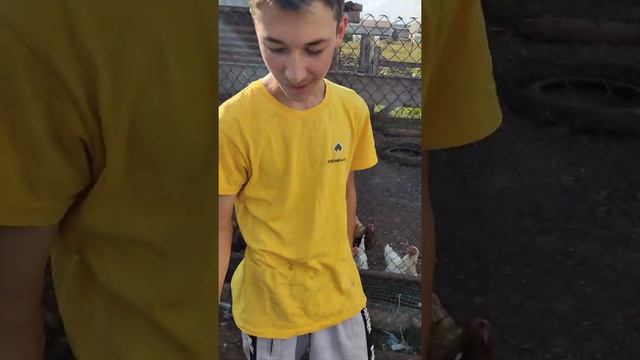 2 часть на кашу! смотреть онлайн