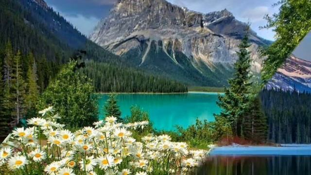 Пётр Моисеев - Купила край со шрамами рука (поэзия) смотреть онлайн