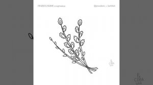 Рисуем букет вербы.mp4