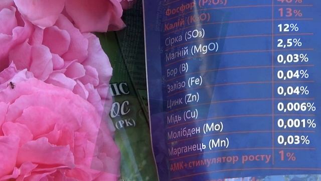 Весняне та літнє підживлення троянд для гарного квітування. Які саме елементи живлення потрібні тро